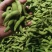 毛豆大量上市5月底大量上市