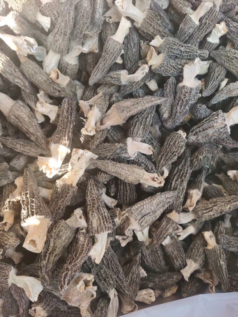 羊肚菌干货250克500克云南特产煲汤食材营养新鲜菇类