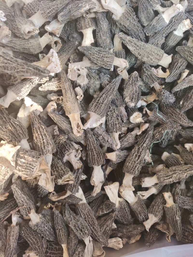 羊肚菌干货250克500克云南特产煲汤食材营养新鲜菇类