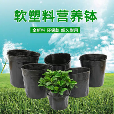 厂家供应花盆育苗代营养杯，一件批发，一手货源质量好