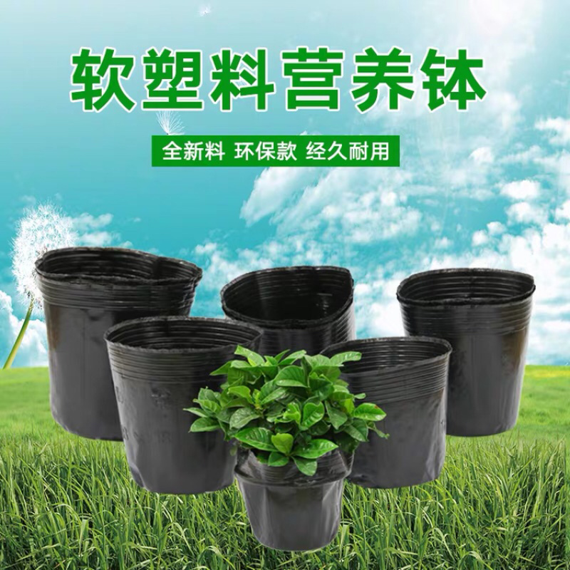 厂家供应花盆育苗代营养杯，一件批发，一手货源质量好