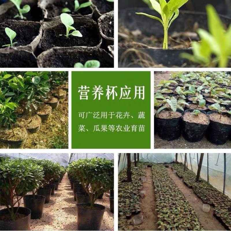 厂家供应花盆育苗代营养杯，一件批发，一手货源质量好