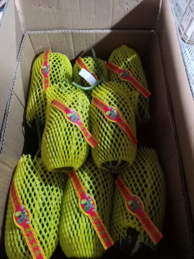【好货】博洋9-91各种瓜果，产地直发，欢迎咨询