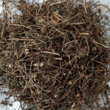 中药材白花蛇舌草也叫白花舌草河南产白花蛇舌草价格内有视频
