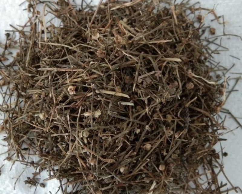 中药材白花蛇舌草也叫白花舌草河南产白花蛇舌草价格内有视频