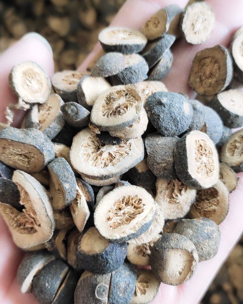 【文斌药业】青皮小青皮统货干净地道药材