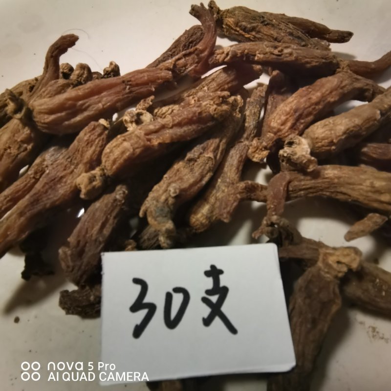长白山纯无糖红参光枝6年红参高含量基地自产自销