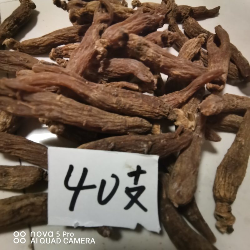 长白山纯无糖红参光枝6年红参高含量基地自产自销