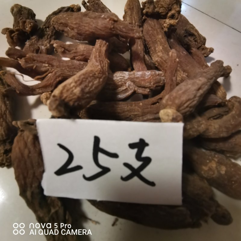 长白山纯无糖红参光枝6年红参高含量基地自产自销