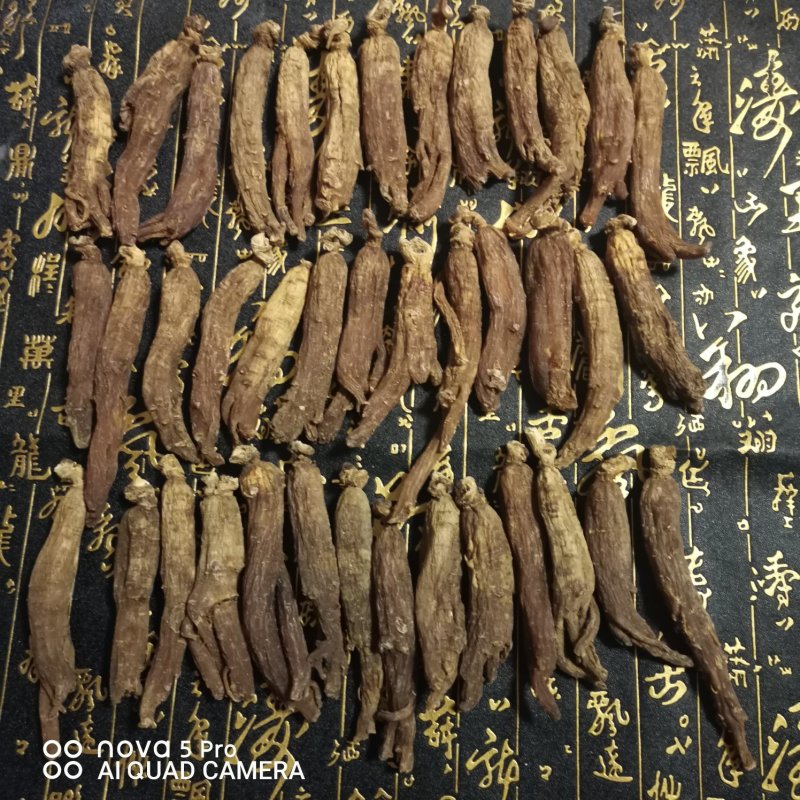 长白山纯无糖红参光枝足干高密度人参泡水炖鸡煲汤