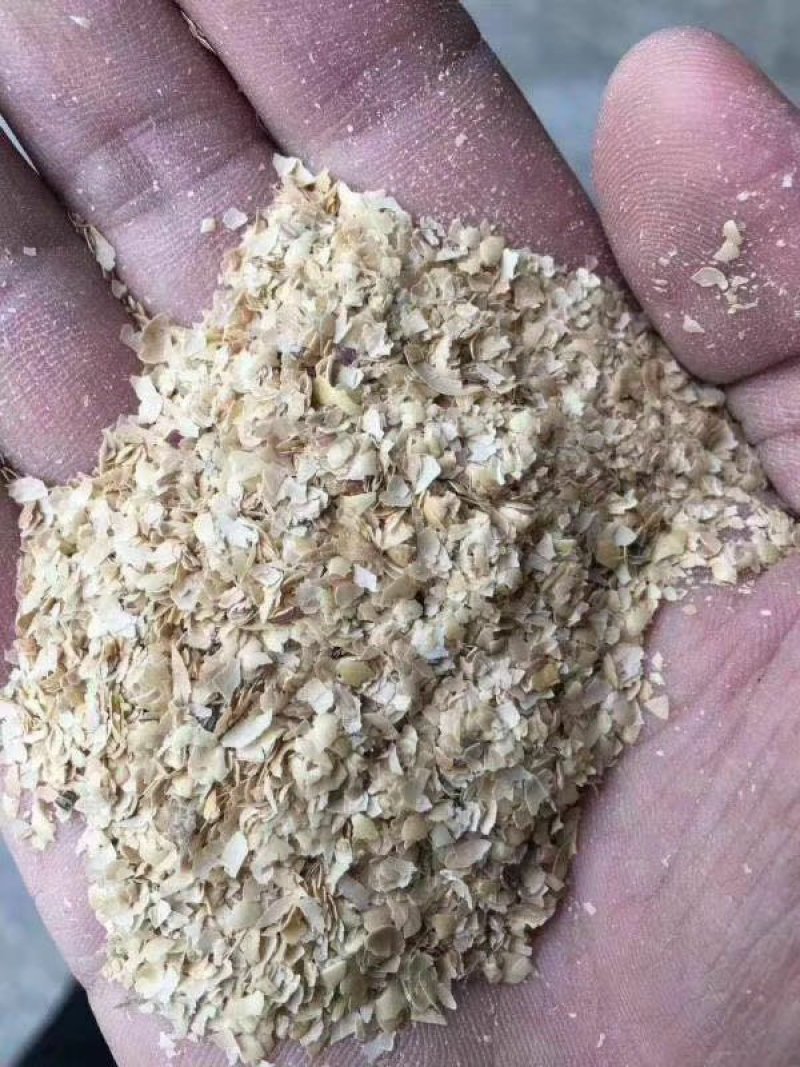常年大量出售黄豆皮质量保证欢迎各位老板选购