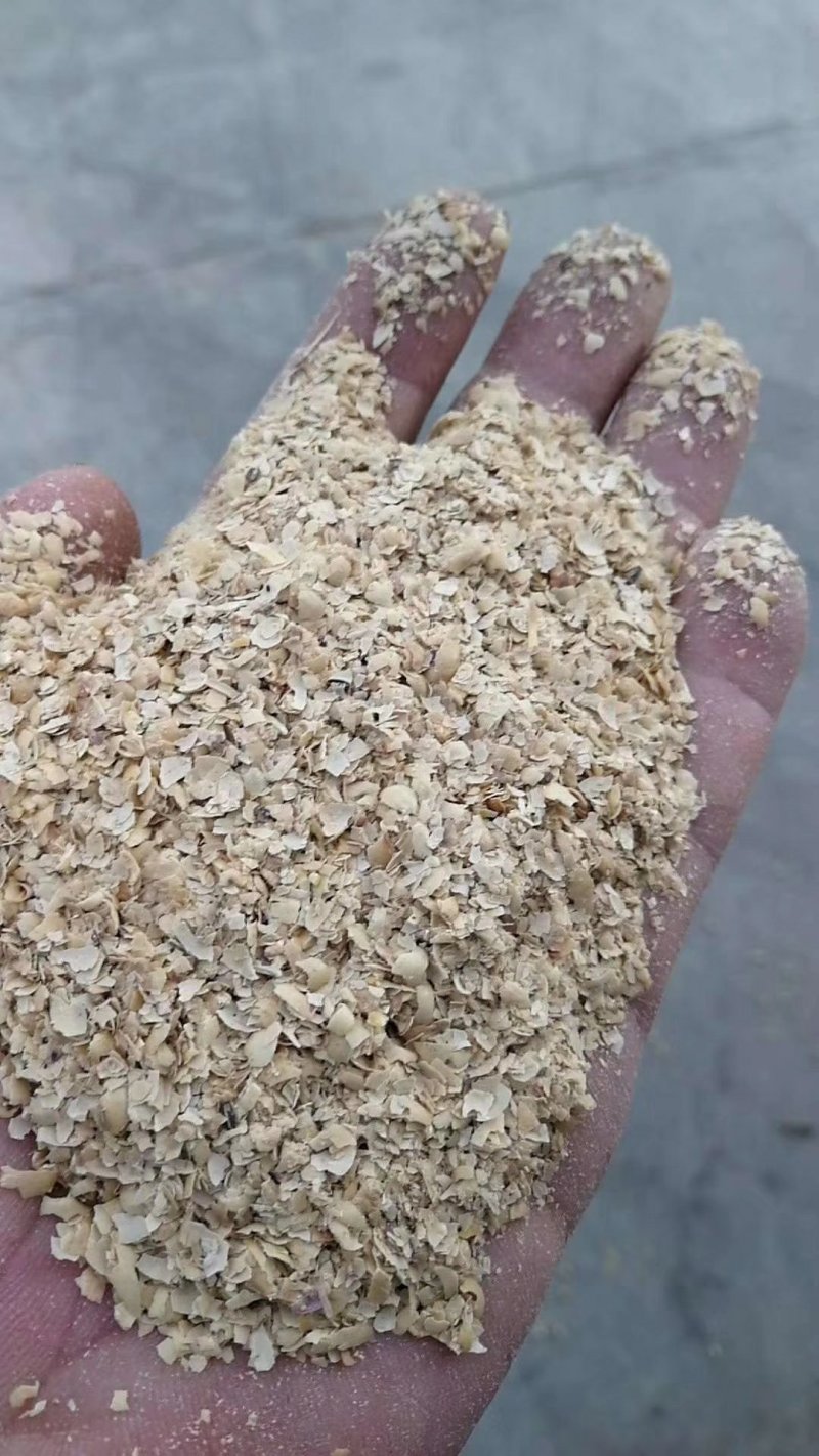 常年大量出售黄豆皮质量保证欢迎各位老板选购