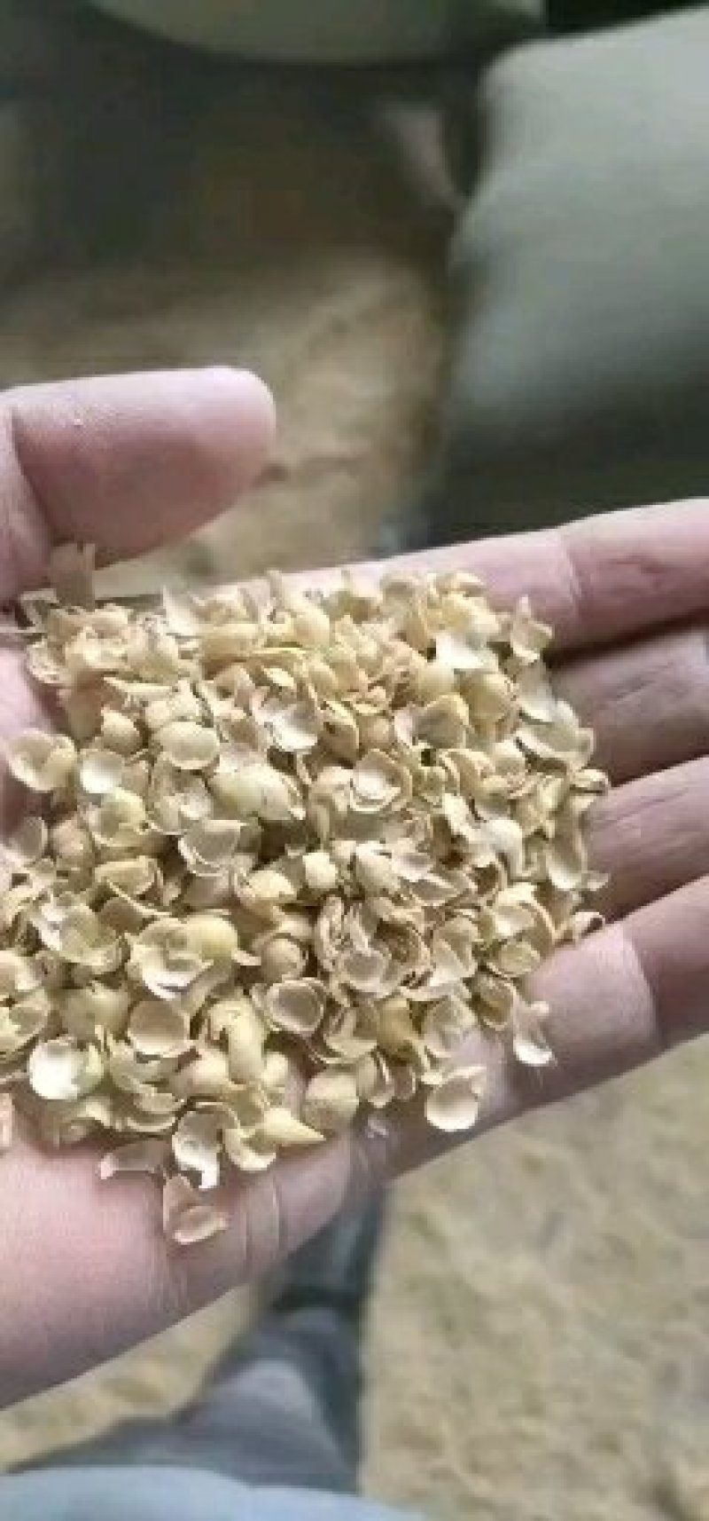 常年大量出售黄豆皮质量保证欢迎各位老板选购