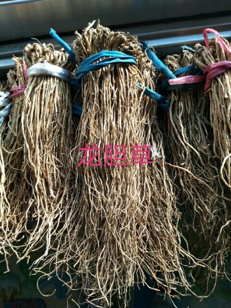 辽宁清原北龙胆烘干