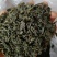青山绿水，小叶苦丁，毛冬青嫩芽便宜处理量大从优
