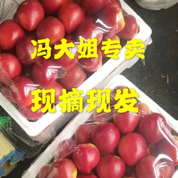 中油4号油桃，5号，126己上市，支持一件代发，包装齐全
