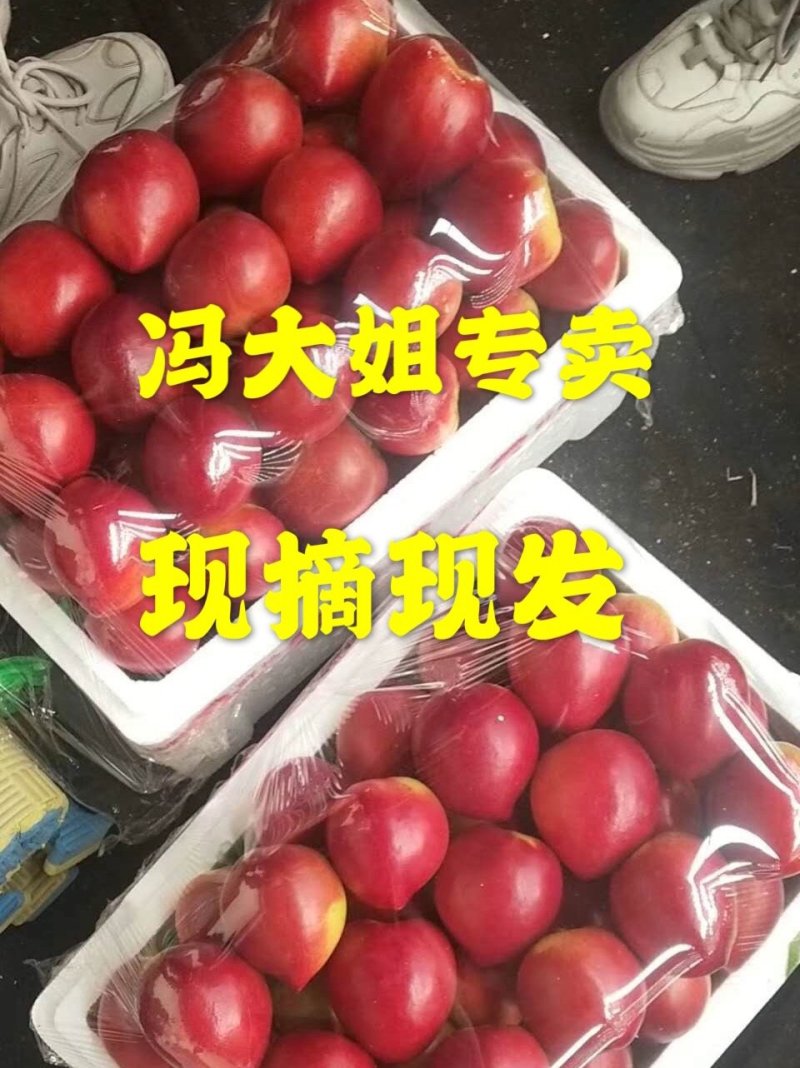 中油4号油桃，5号，126己上市，支持一件代发，包装齐全