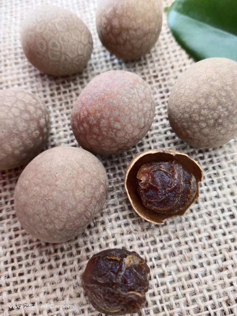 厂家直销电商批发桂圆干品质超好质优价廉可按要求贴牌定制