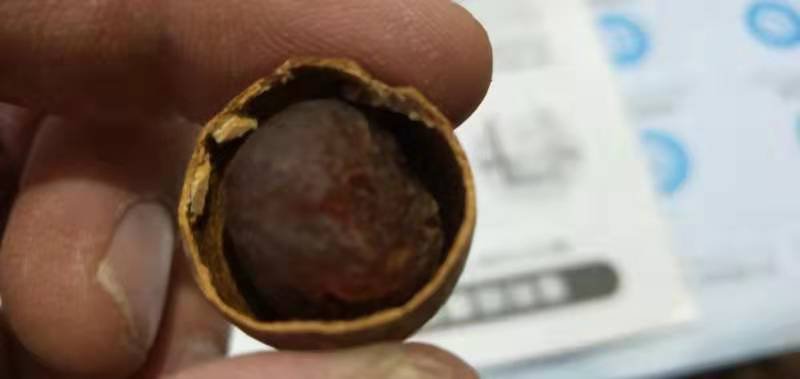 厂家直销电商批发桂圆干品质超好质优价廉可按要求贴牌定制