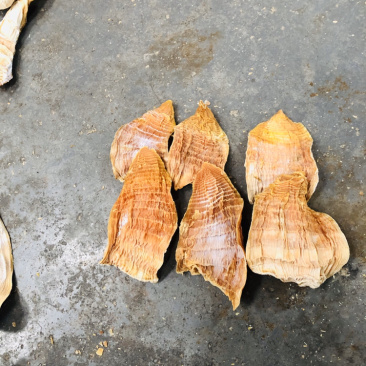 黄山笋干（香味足、不添加任何防腐剂，口感脆嫩）