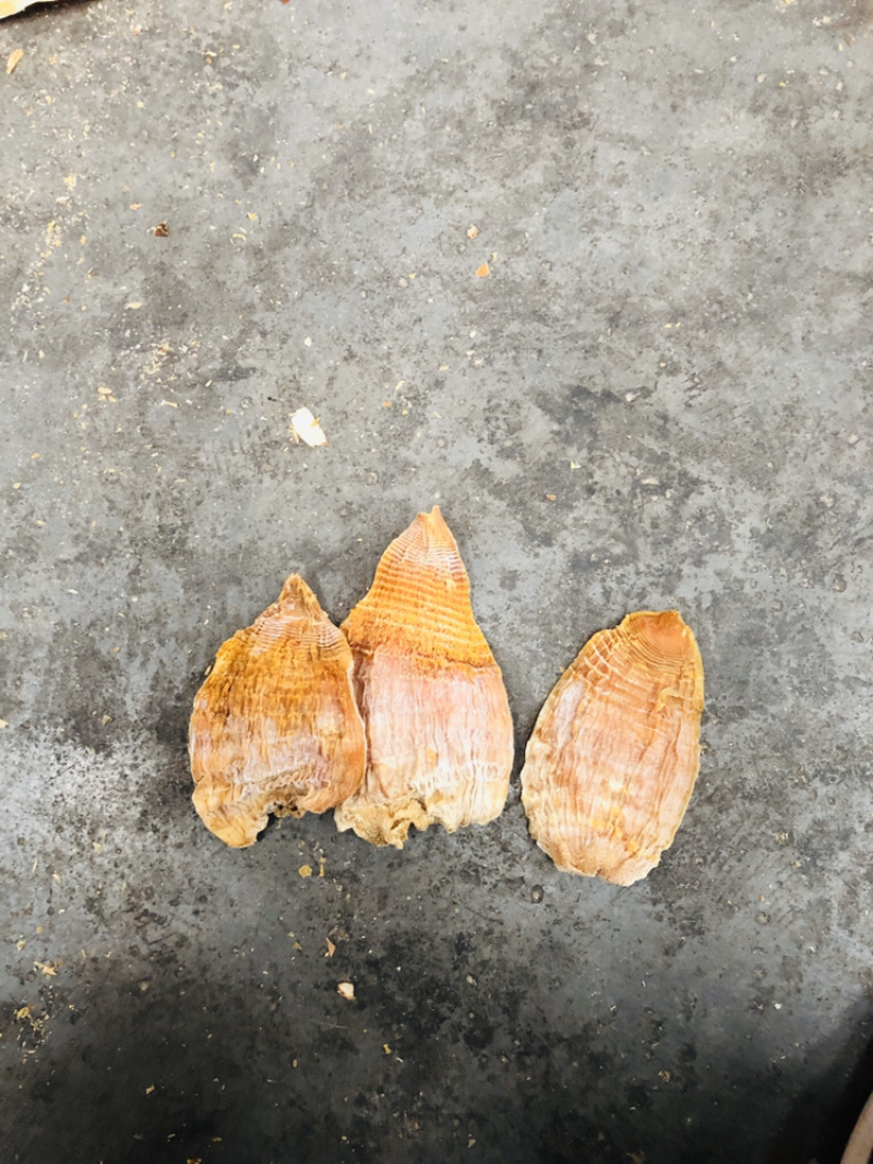 黄山笋干（香味足、不添加任何防腐剂，口感脆嫩）