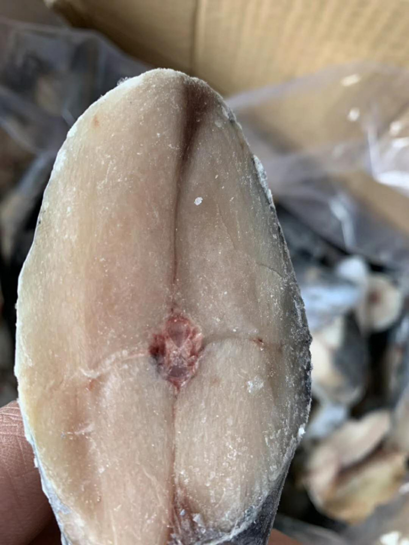 新鲜鲅鱼片青花鱼马鲛鱼片燕鲅鱼鲅鱼青条鱼海鱼燕鲅鱼
