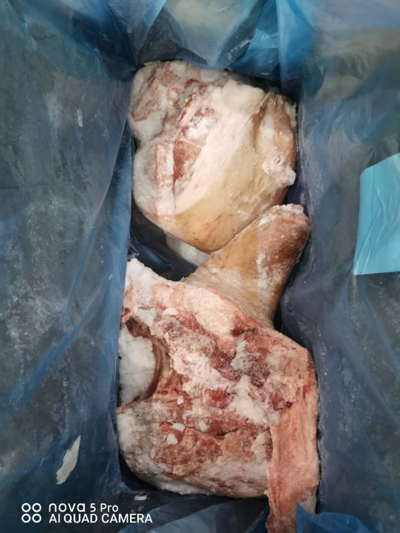 进口猪六分体白条猪及其他各类猪产品多个国家可选