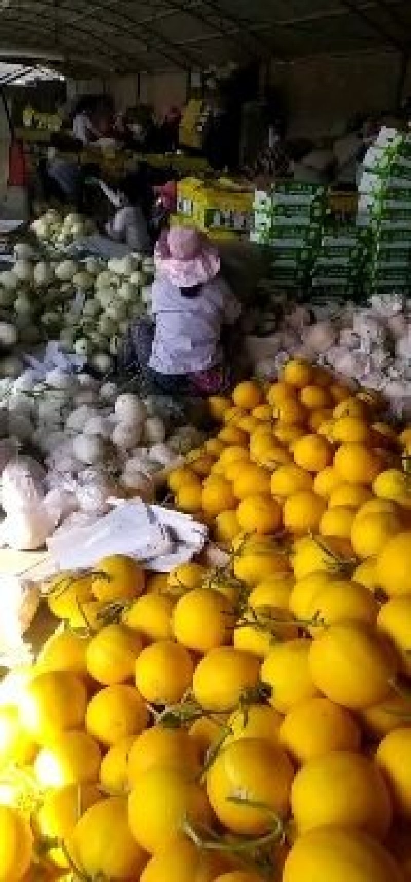 水果甜瓜哈密瓜羊角蜜玉菇脆梨实力一件代发代办