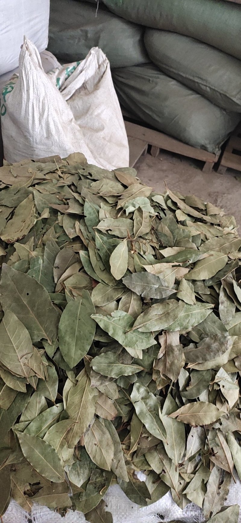 香叶广西青香小片大片中片都有，量大价优，产地直发