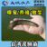 广东优质抗病力强泥鳅台湾泥鳅快大泥鳅泥鳅苗泥鳅水花