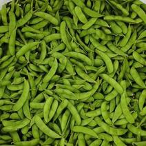 绿宝石毛豆，颗粒饱满，个大均匀，产地直销