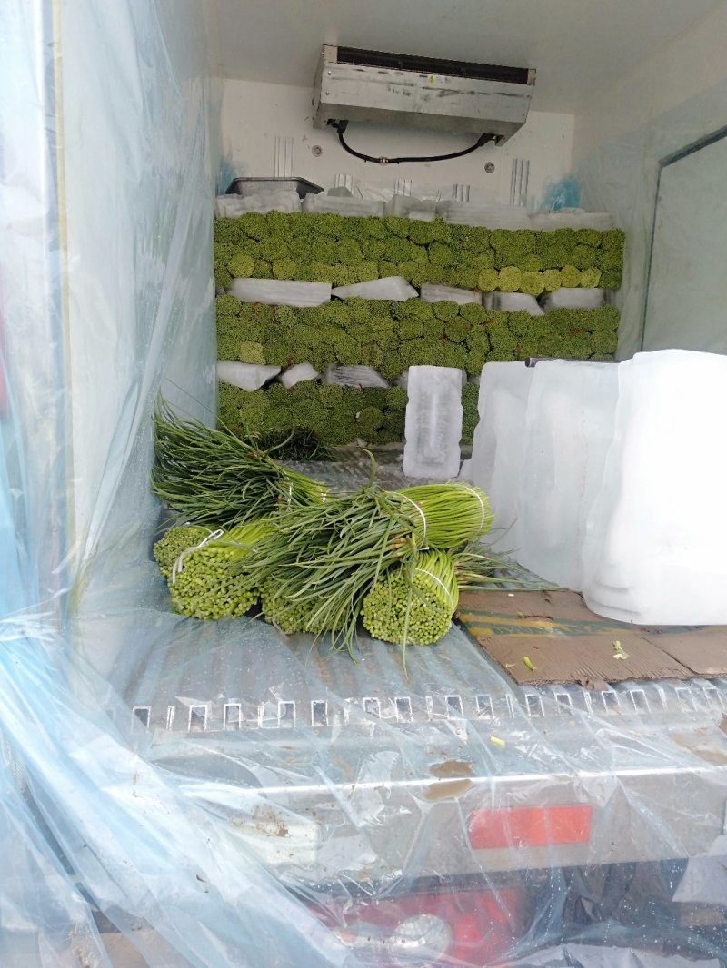 蒜薹杞县红帽蒜薹大量上市对接商超市场批发社区团购等