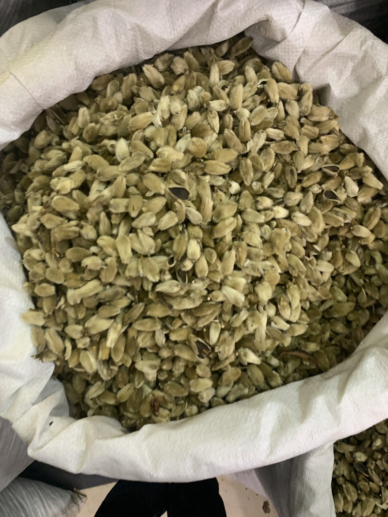 辛夷花一公斤起批无硫磺熏蒸