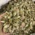辛夷花一公斤起批无硫磺熏蒸
