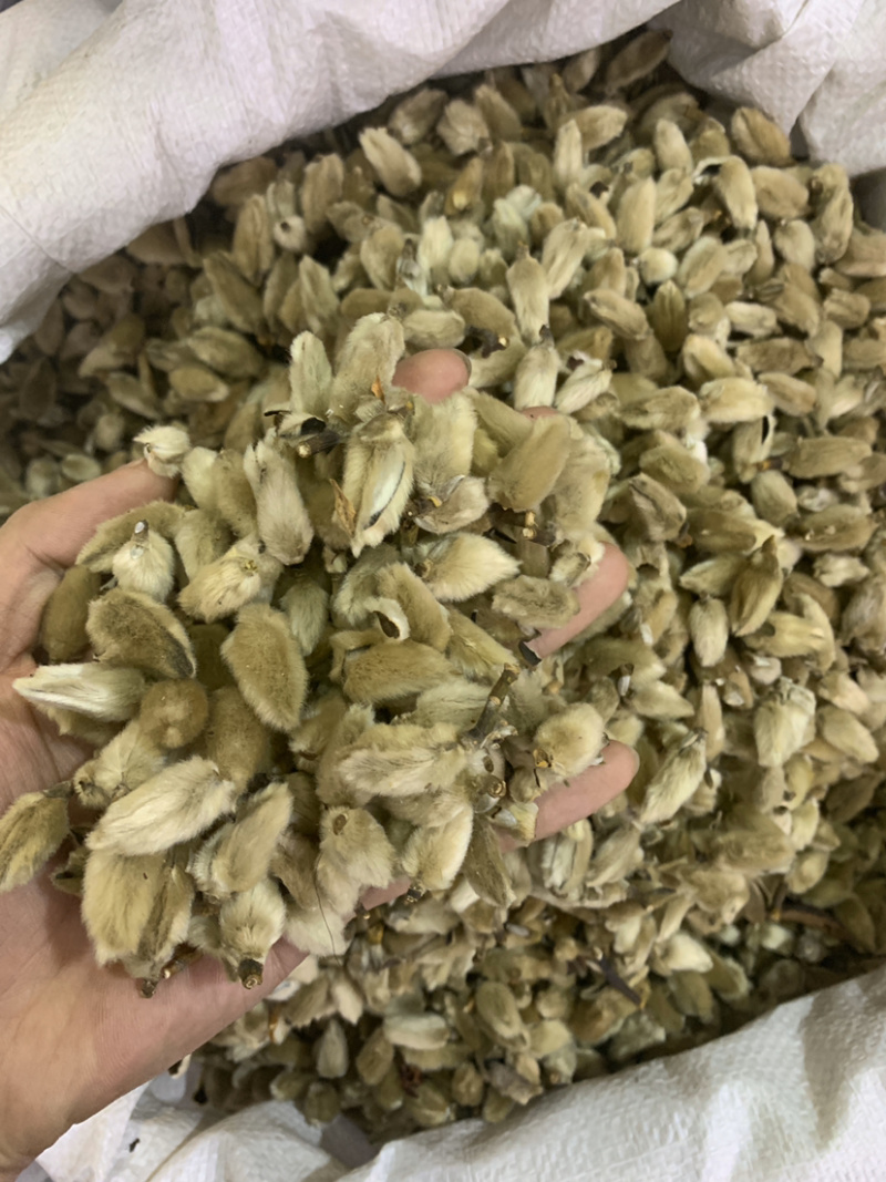 辛夷花一公斤起批无硫磺熏蒸