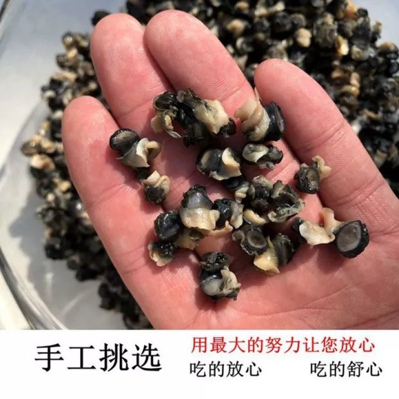 新鲜鲜活螺丝肉螺肉螺蛳肉大田螺肉干净小田螺肉苏浙沪皖包邮