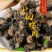 新鲜鲜活螺丝肉螺肉螺蛳肉大田螺肉干净小田螺肉苏浙沪皖包邮