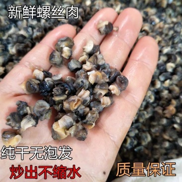 新鲜鲜活螺丝肉螺肉螺蛳肉大田螺肉干净小田螺肉苏浙沪皖包邮