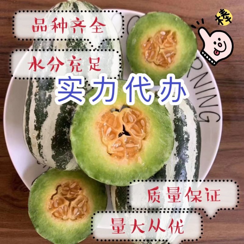 山东博洋九甜瓜皮薄味甜一手货源基地直发可视频看货