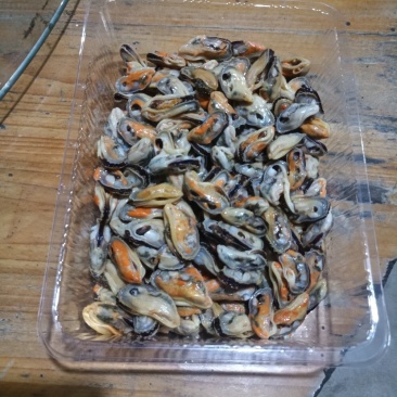 青口贝肉