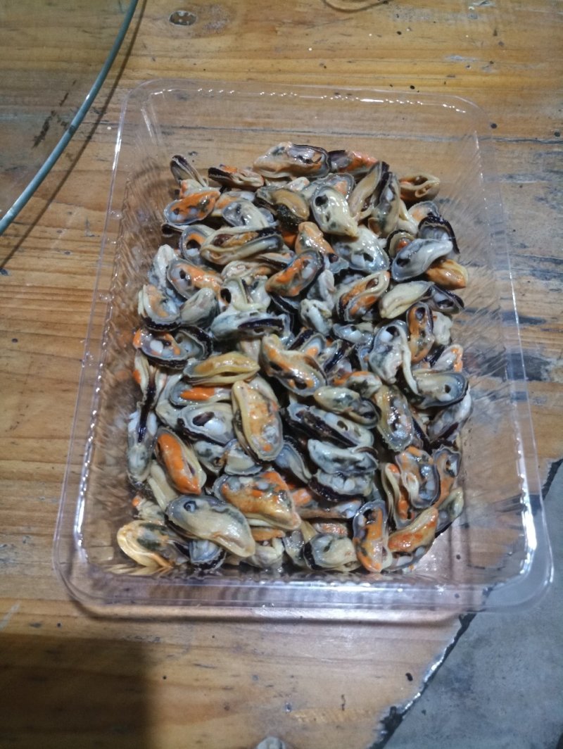 青口贝肉