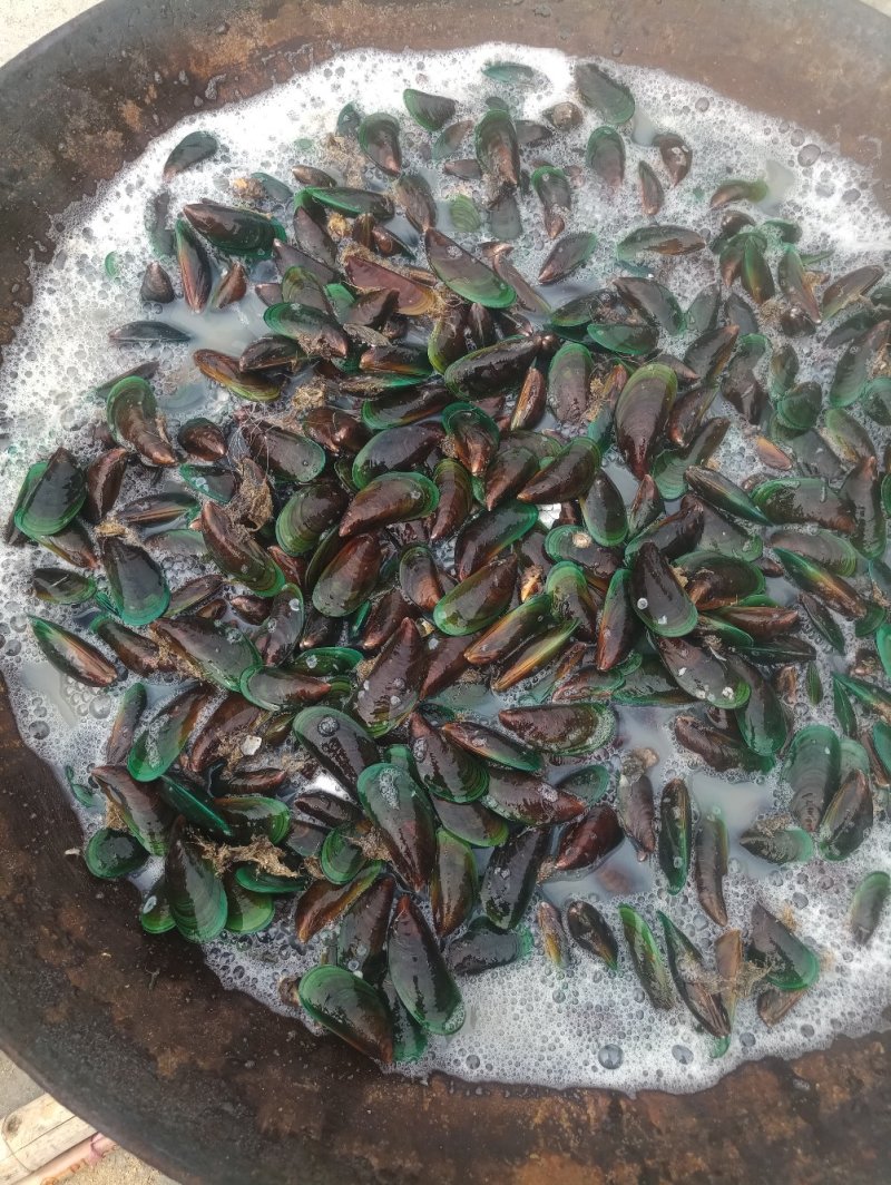 青口贝肉