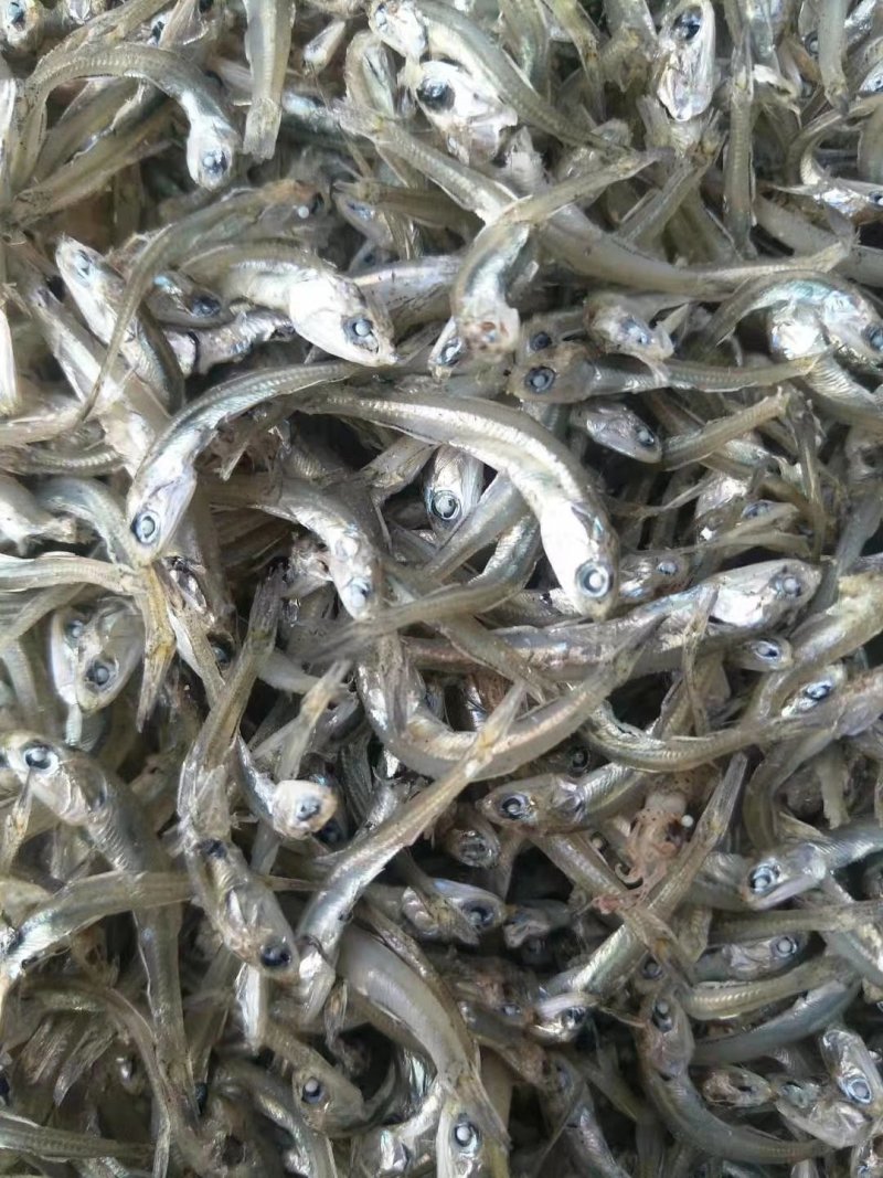 周敏海产品批发