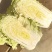 山东大白菜肥城北京三号白菜货量大品质好价位低