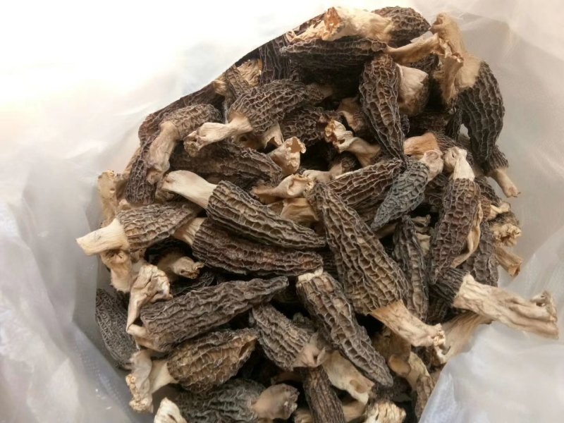 羊肚菌干货