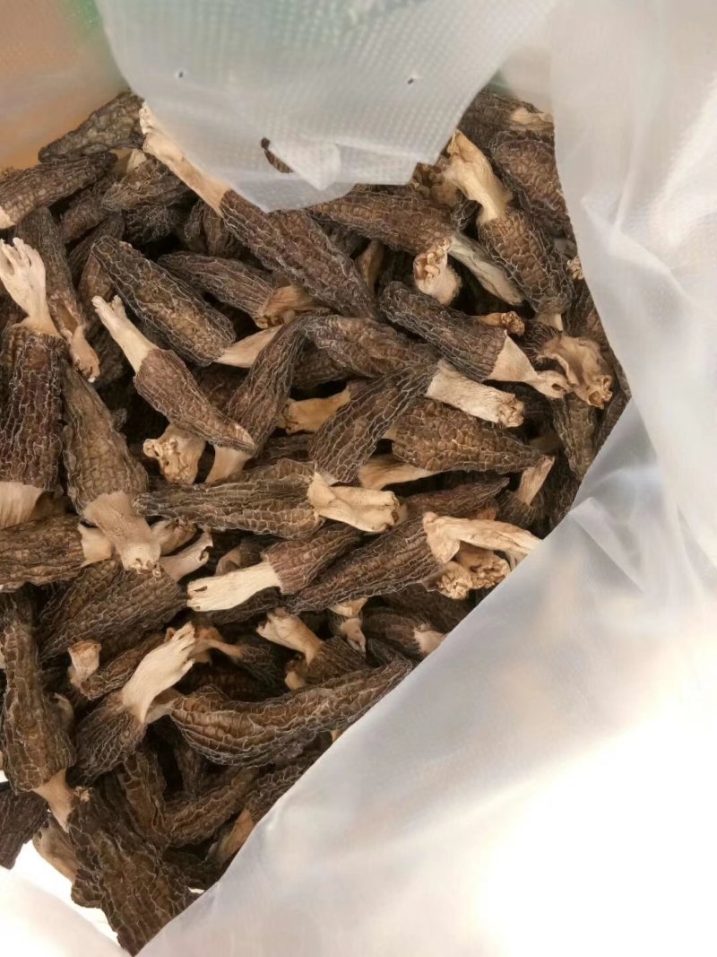 羊肚菌干货