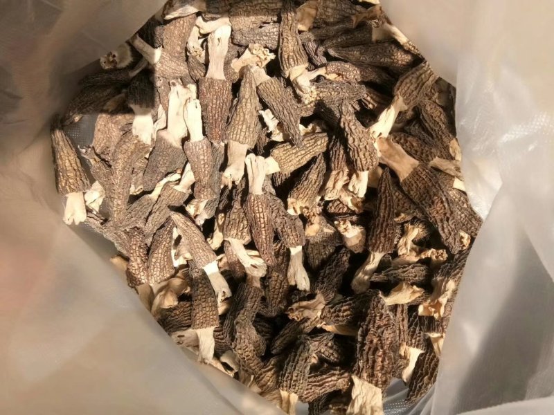 羊肚菌干货