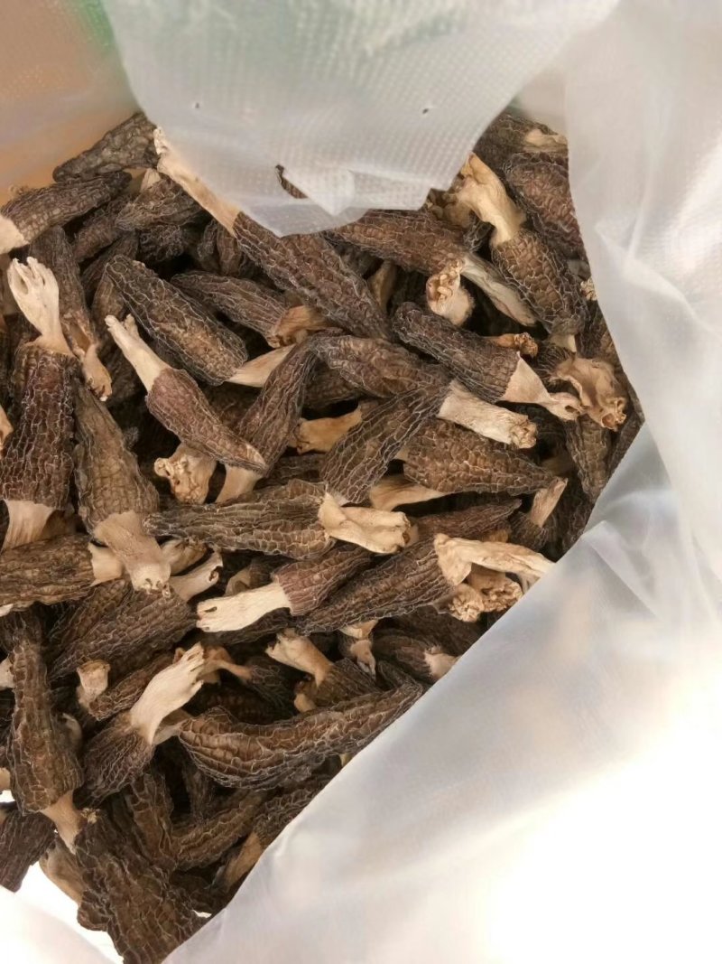 羊肚菌干货