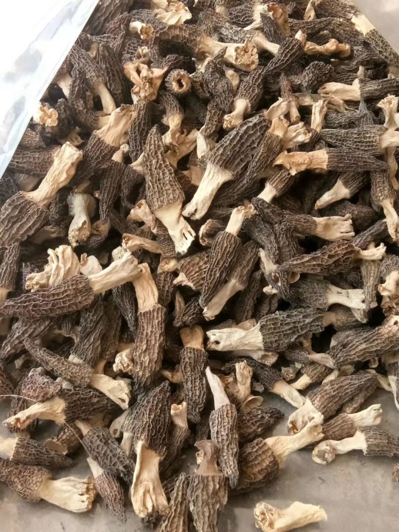羊肚菌干货