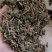 断血流冷背药材货好量大一公斤起售不满意保退换